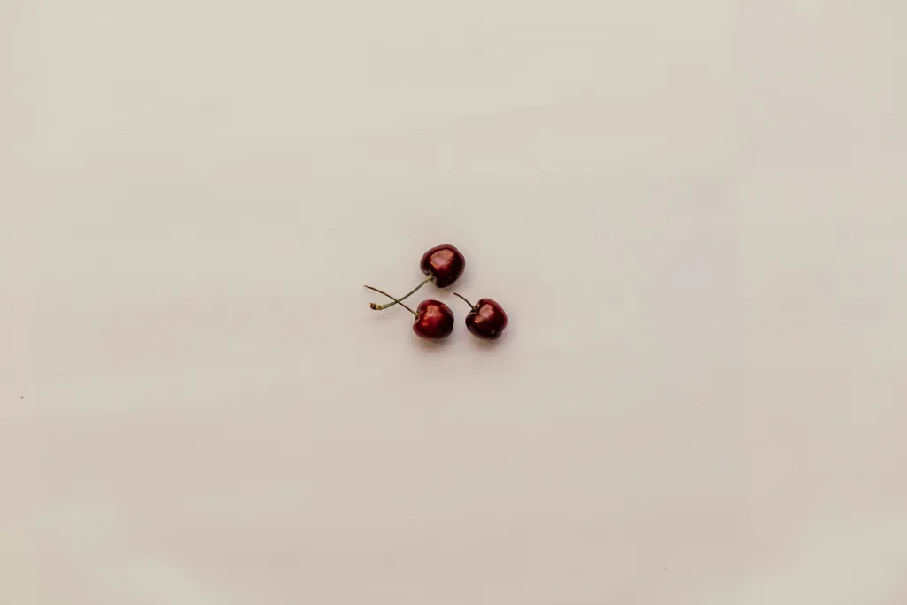 Team plant Website-Ziele für mehr Traffic, Termine und Umsatz